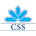 CSS Assurance